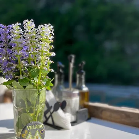 Willa Villa's Gio Shala River *