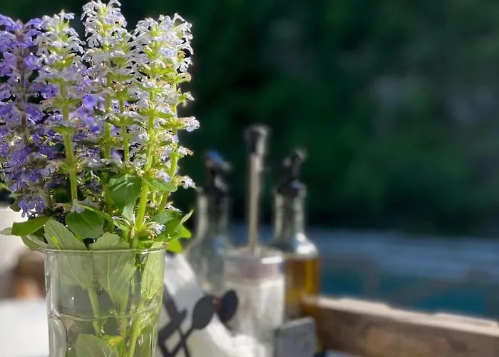 Villa Villa's Gio Shala River *